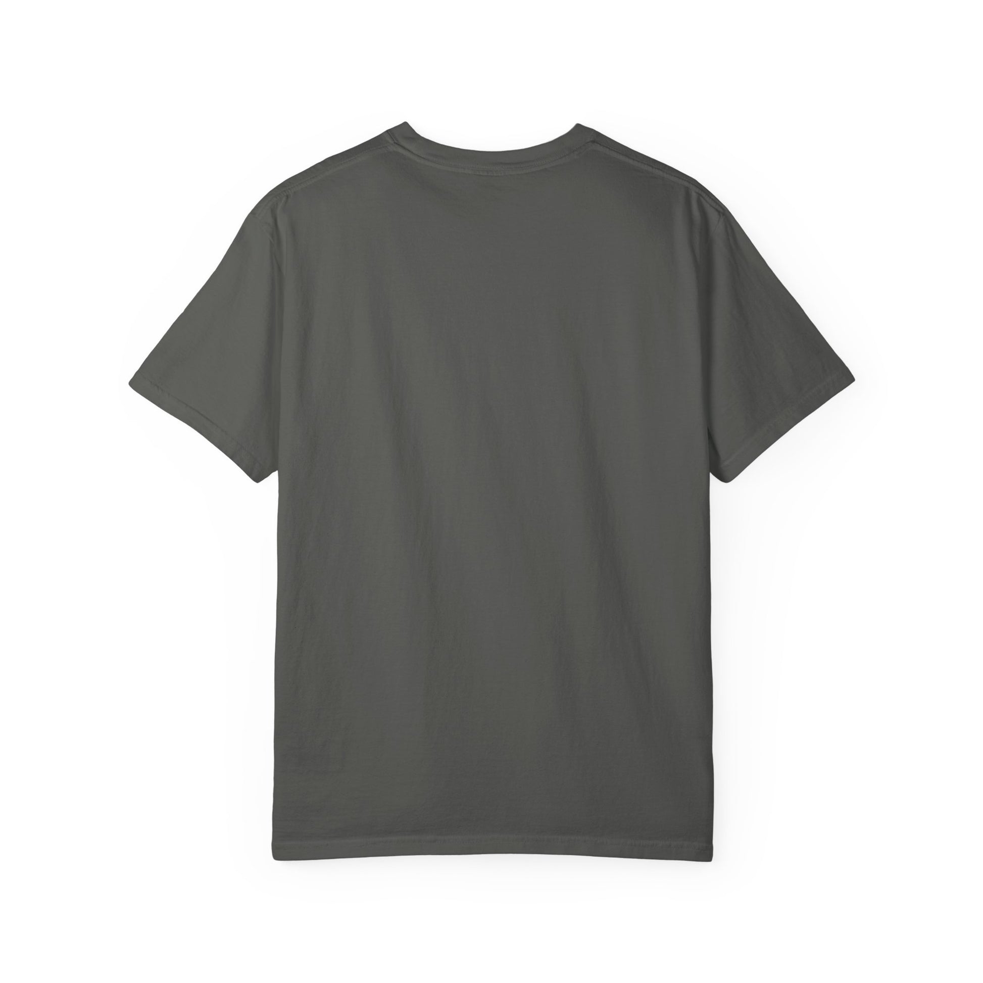 Adult Comfort Colors- I Teach Jesus Math Tee - TorchHill Design