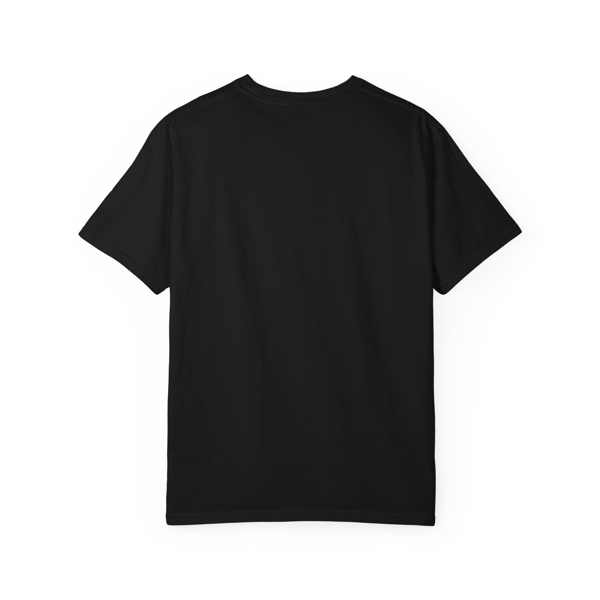 Adult Comfort Colors- I Teach Jesus Math Tee - TorchHill Design