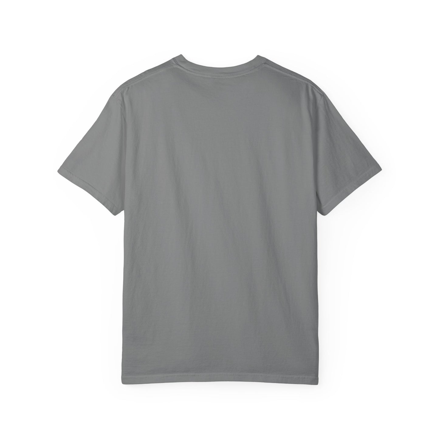 Adult Comfort Colors- I Teach Jesus Math Tee - TorchHill Design