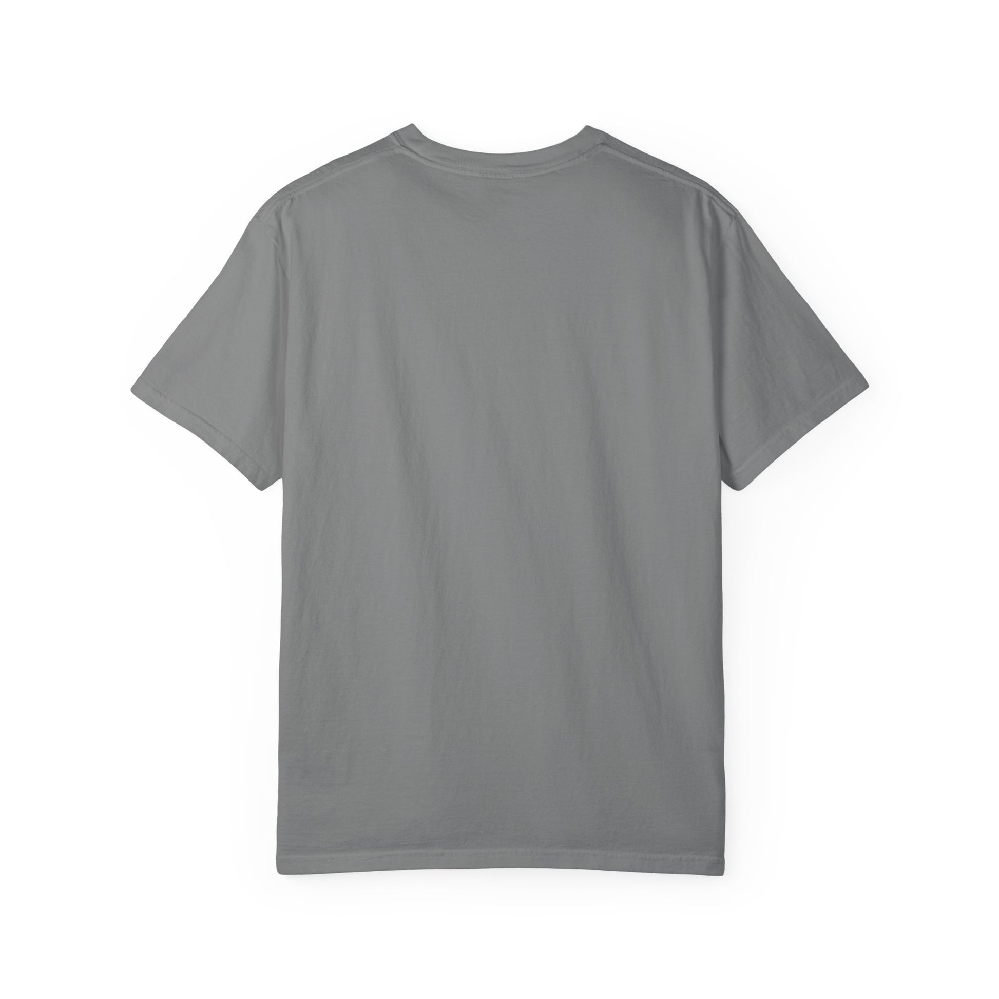 Adult Comfort Colors- I Teach Jesus Math Tee - TorchHill Design