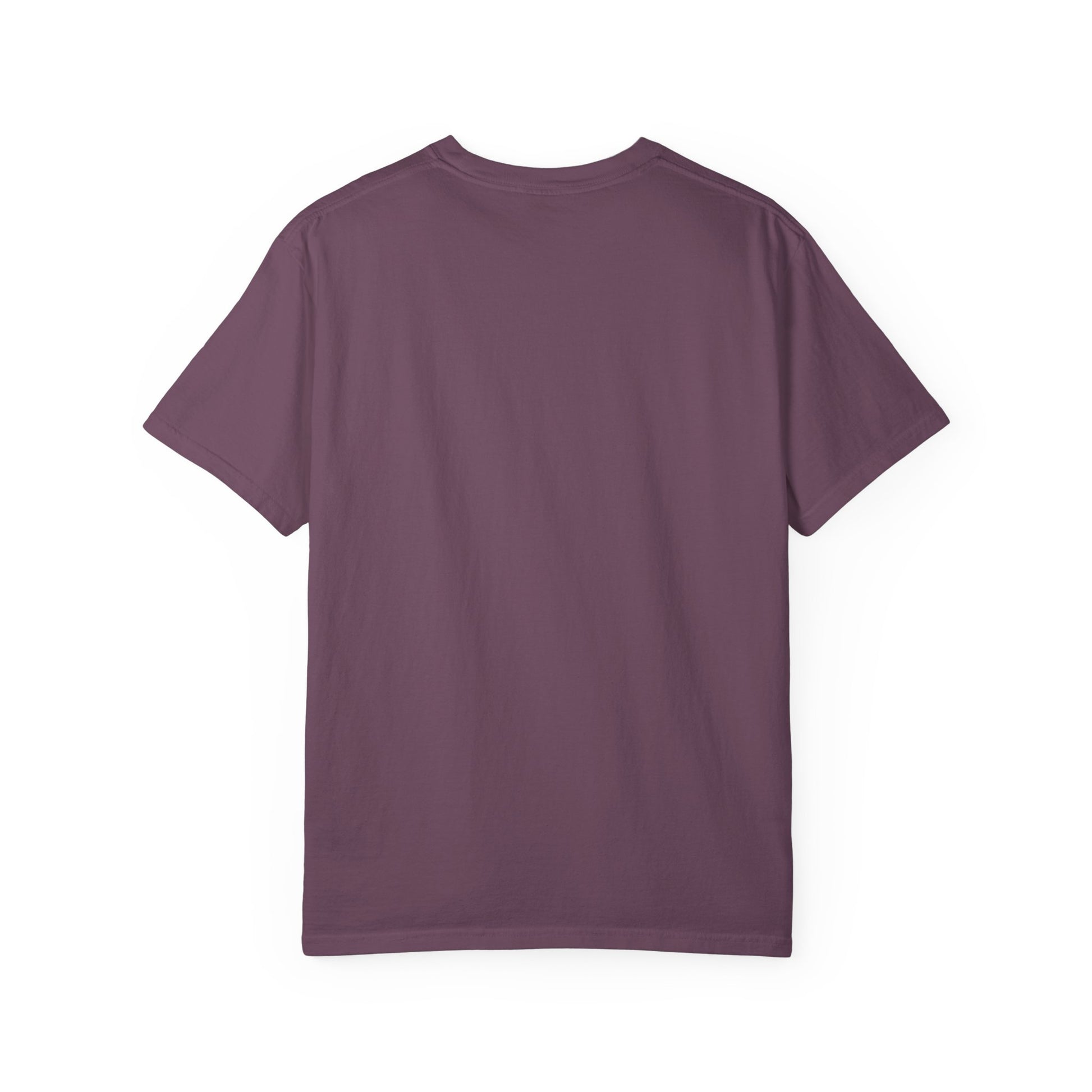 Adult Comfort Colors- I Teach Jesus Math Tee - TorchHill Design